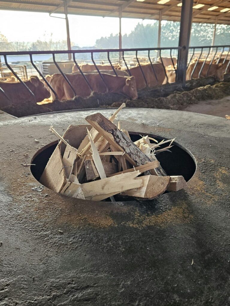 Foyer de braséro préparé avec papier et bûches, bâtiment agricole en arrière-plan